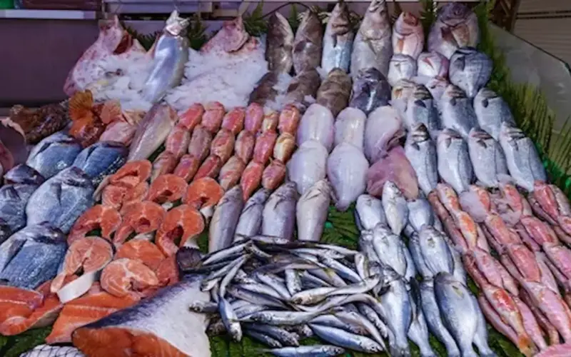 أسعار الأسماك والمأكولات البحرية اليوم في سوق العبور.. صعود الكابوريا